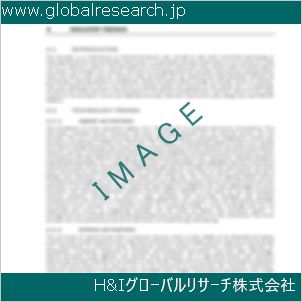 グローバルリサーチ調査資料のイメージ
